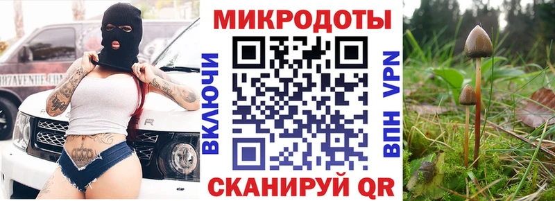Купить где  Никольское  Галлюциногенные грибы Magic Shrooms 